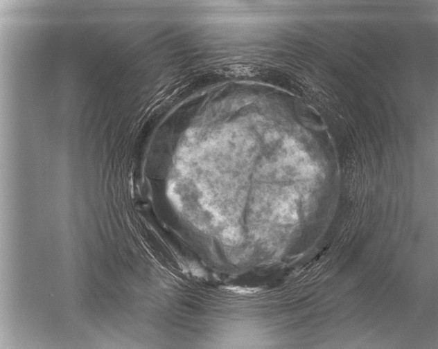 X0000052570747200507152252