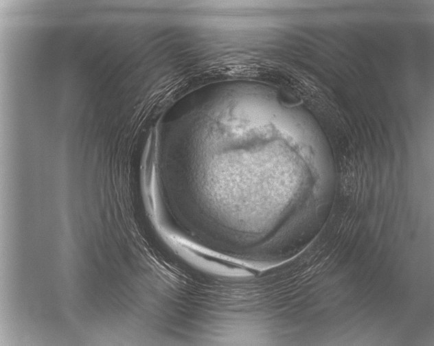 X0000052570748200507152252