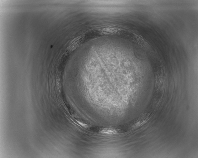 X0000052570749200507152252