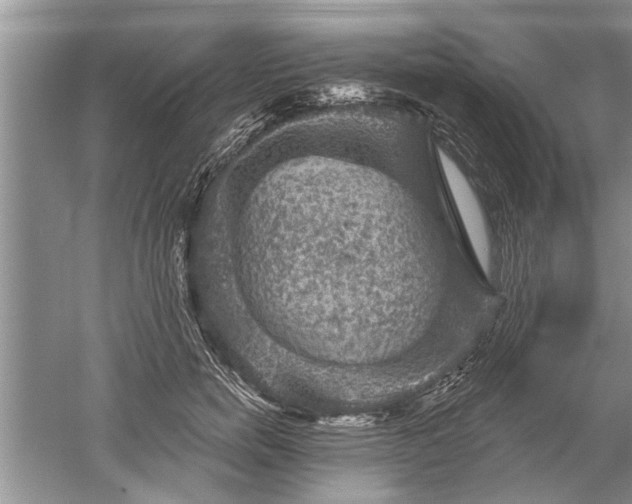 X0000052570750200507152252