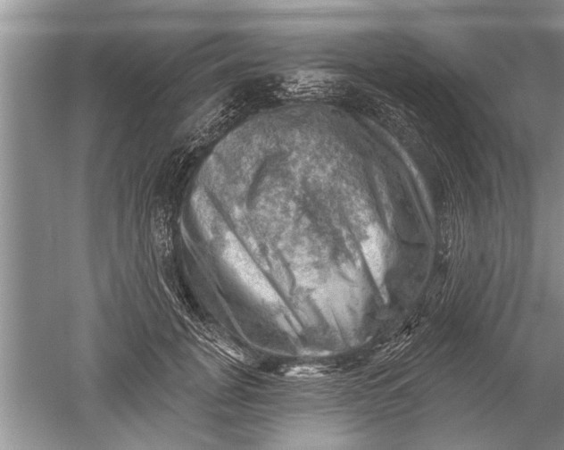 X0000052570751200507152252