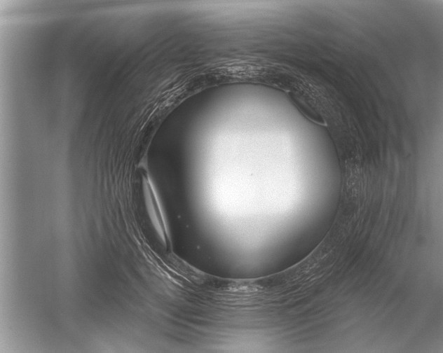 X0000052570752200507152252