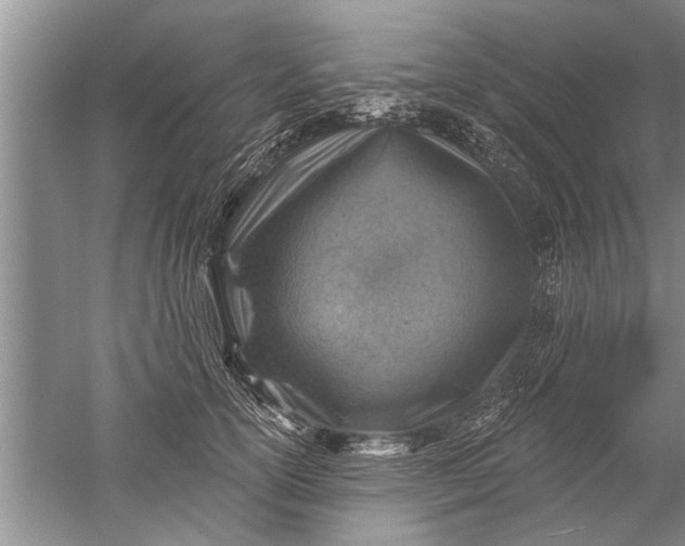 X0000052570754200507152252