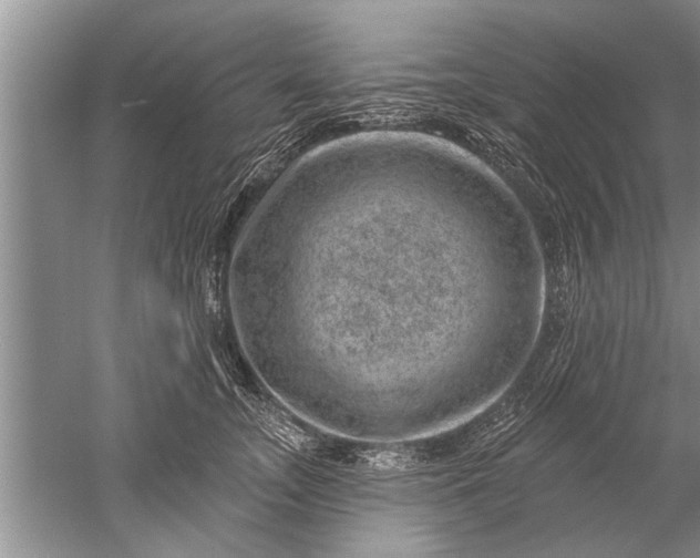 X0000052570755200507152252