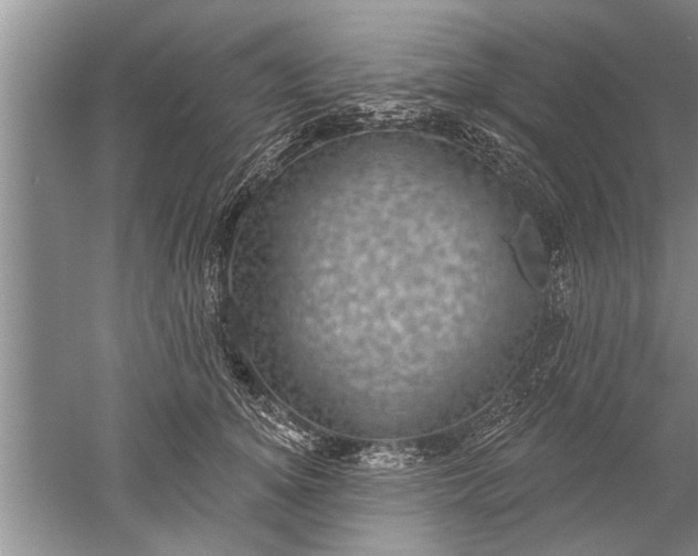 X0000052570756200507152252