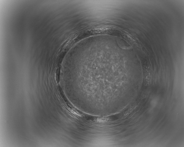 X0000052570758200507152252