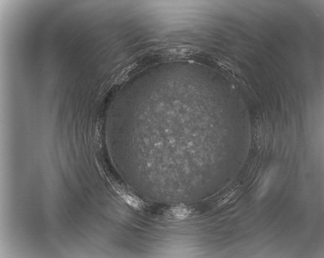 X0000052570759200507152252