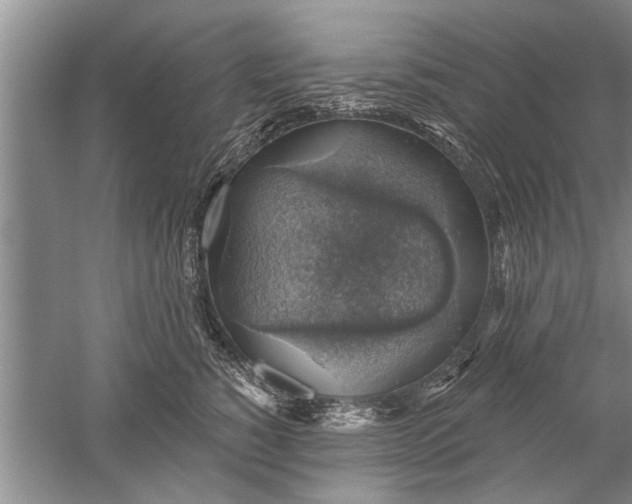 X0000052570760200507152252