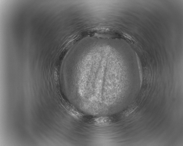 X0000052570761200507152252