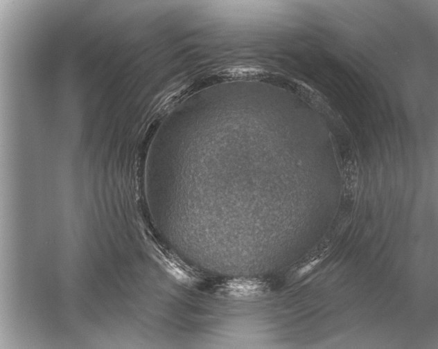 X0000052570762200507152252