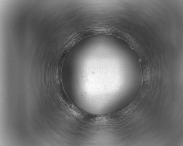 X0000052570764200507152252