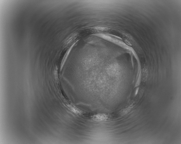 X0000052570765200507152252