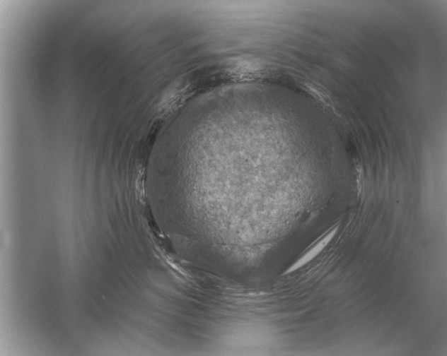 X0000052570766200507152252