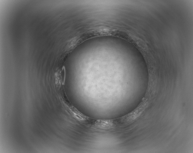 X0000052570768200507152252