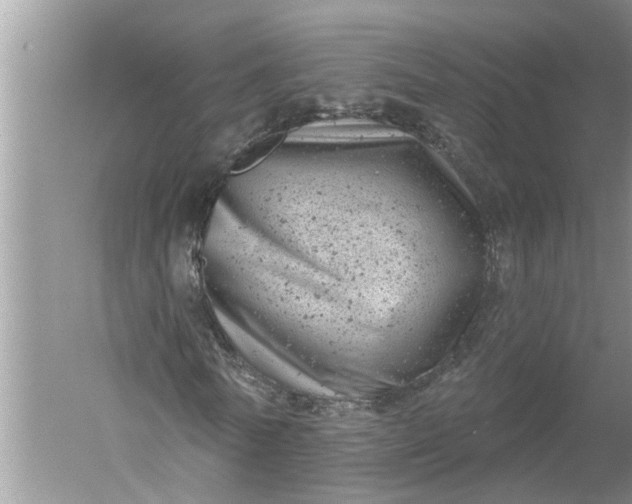 X0000052570770200507152251