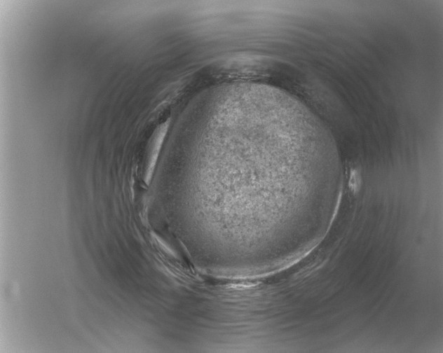 X0000052570771200507152251