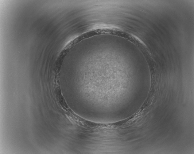 X0000052570775200507152251