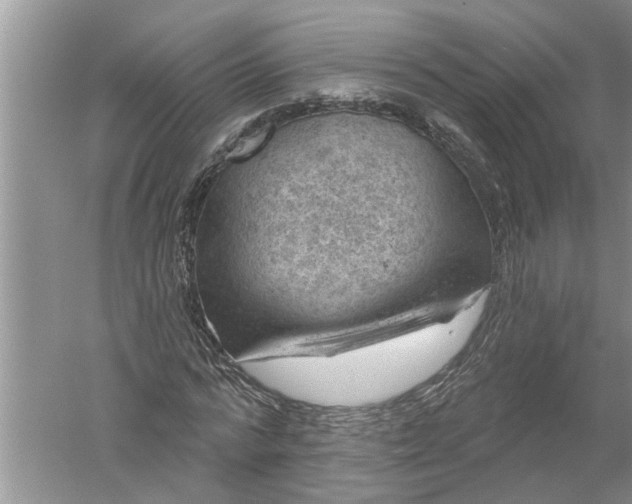 X0000052570776200507152251