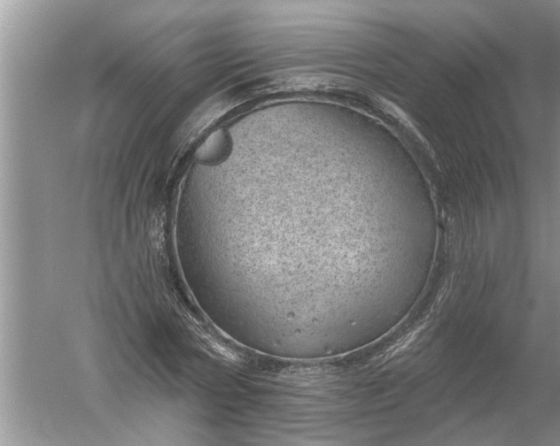 X0000052570778200507152251