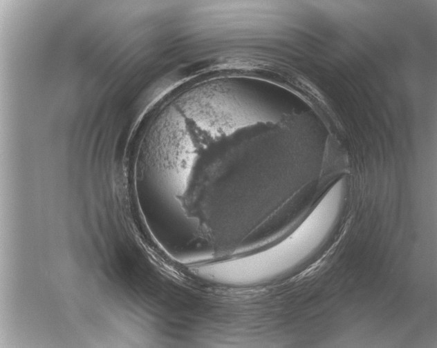 X0000052570779200507152251