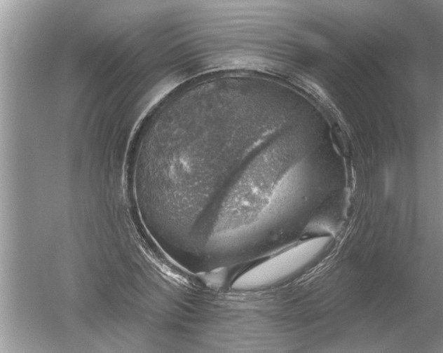 X0000052570780200507152251