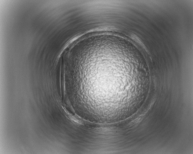 X0000052570781200507152251