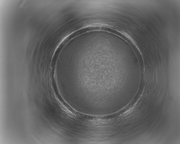 X0000052570783200507152251