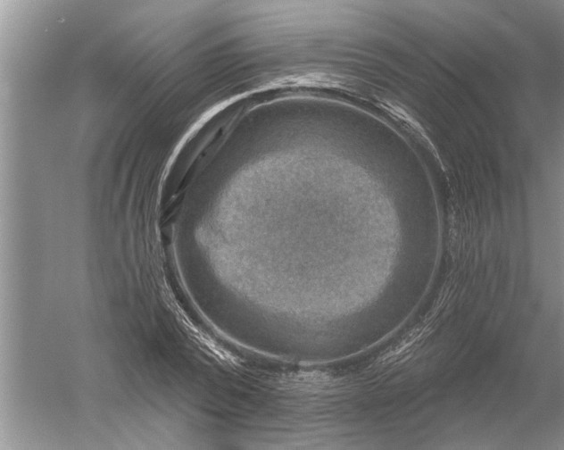 X0000052570784200507152251