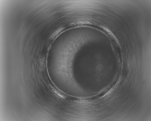 X0000052570785200507152251