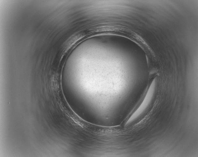 X0000052570786200507152251