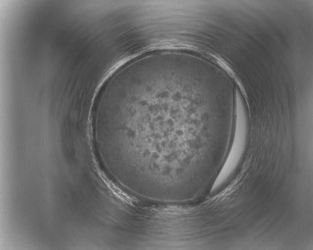 X0000052570787200507152251