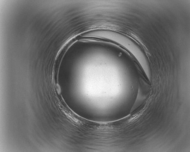 X0000052570788200507152251