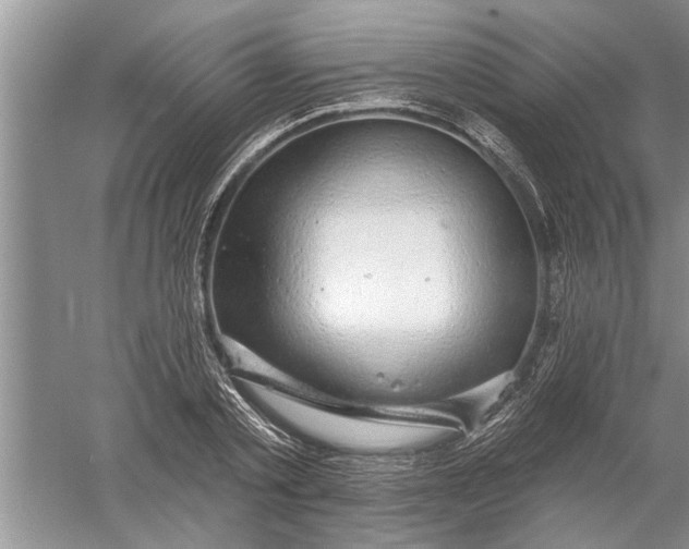 X0000052570789200507152251