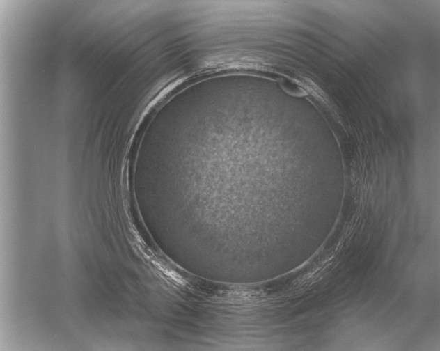 X0000052570790200507152251