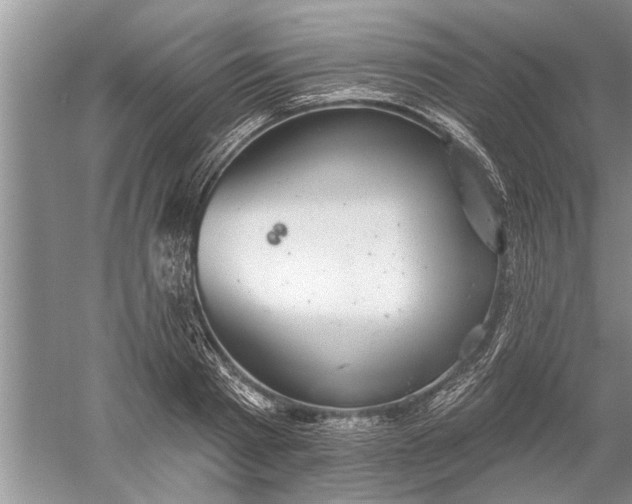 X0000052570793200507152251