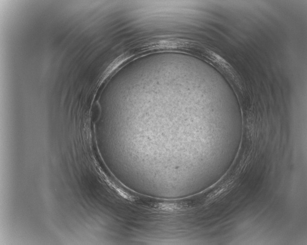 X0000052570794200507152251