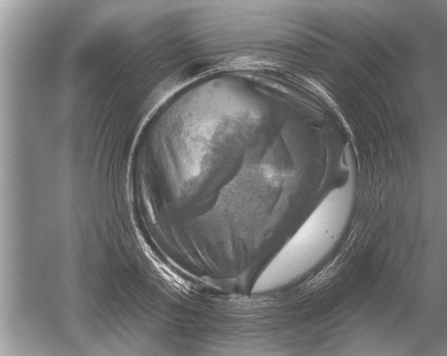 X0000052570795200507152251