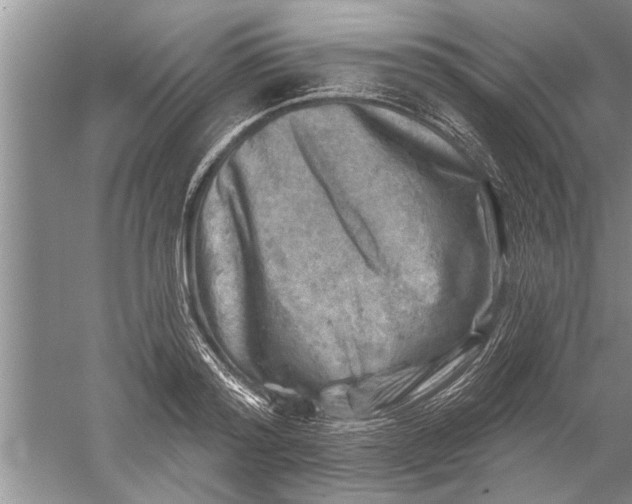 X0000052570796200507152251