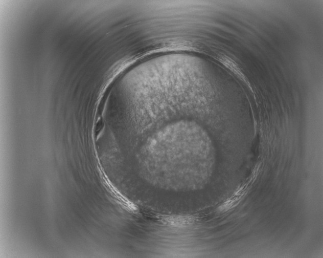 X0000052570797200507152251