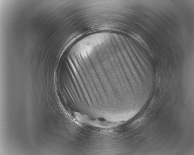 X0000052570798200507152251