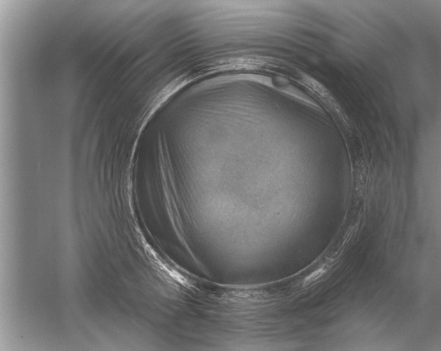 X0000052570802200507152251