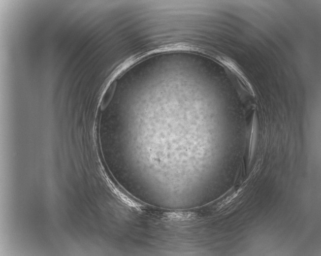 X0000052570805200507152250