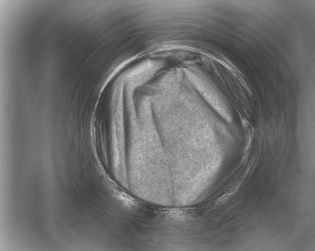 X0000052570814200507152250