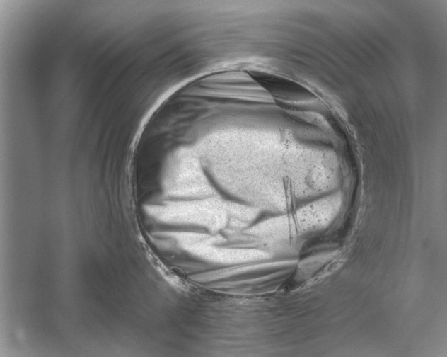 X0000052570816200507152250