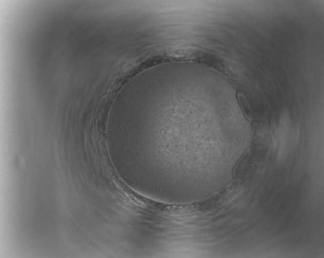 X0000052570817200507152249