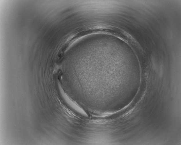 X0000052570825200507152250