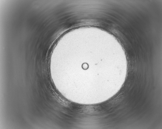 X0000052570828200507152250