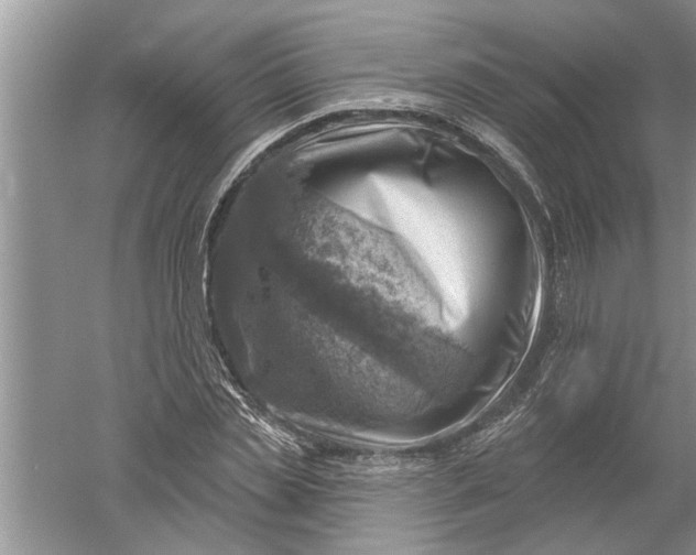 X0000052570829200507152250