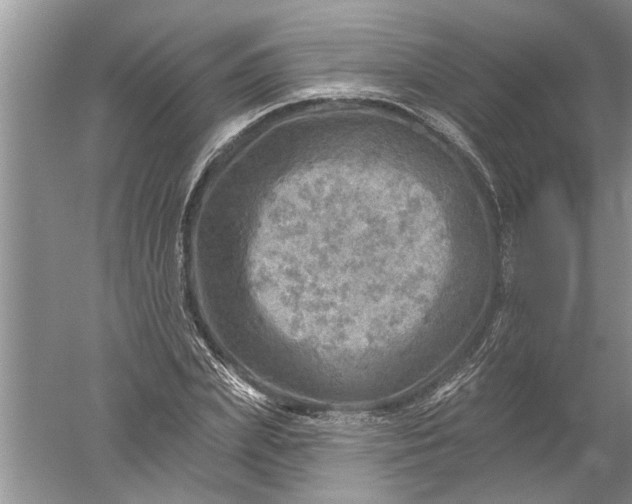 X0000052570831200507152250