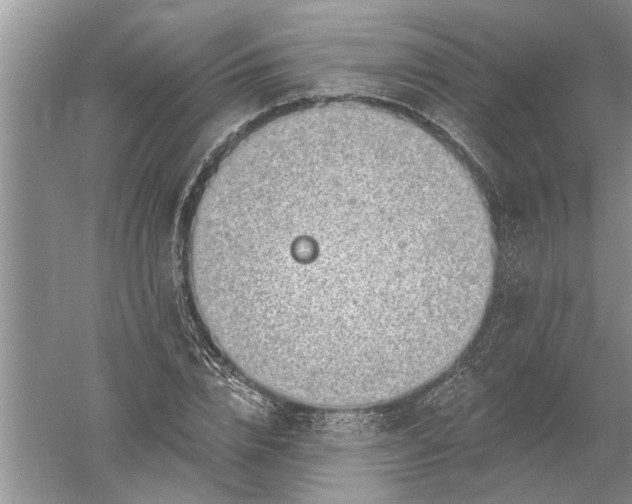 X0000052570832200507152250